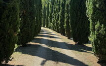 Photo submitted by guest of Podere Valcellino