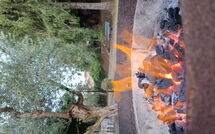 Photo submitted by guest of La Piccola Rocca