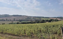 Photo submitted by guest of Fattoria le Chianacce