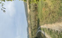 Photo submitted by guest of Cuccardino