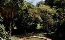 Photo submitted by guest of Castelletto Weddings and Events