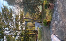 Photo submitted by guest of La Casina del Bosco