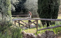 Photo submitted by guest of La Sorgente