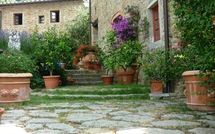 Photo submitted by guest of La Capraia