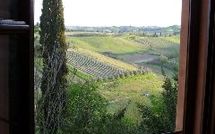 Photo submitted by guest of Certaldo