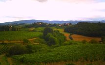 Photo submitted by guest of Casa Mori