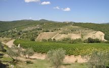 Photo submitted by guest of Contessa di Gaiole