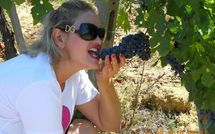 Photo submitted by guest of Podere Il Doccio