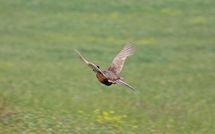 Photo submitted by guest of Podere Cunina