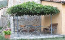 Photo submitted by guest of Casa la Primula