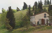 Photo submitted by guest of Borgo Tollena