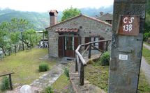 Photo submitted by guest of Paradiso