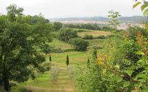 Photo submitted by guest of Villa Carolina