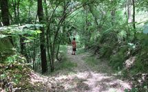 Photo submitted by guest of Il Palazzetto