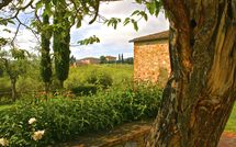 Photo submitted by guest of Agriturismo la Papessa