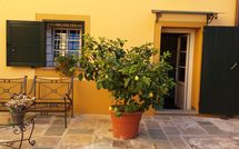 Photo submitted by guest of Flavia