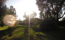 Photo submitted by guest of Maria Vittoria