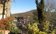 Photo submitted by guest of Villa Fabbroni - Fattoria San Polo