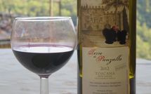 Photo submitted by guest of Villa Fabbroni - Fattoria San Polo