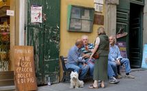 Photo submitted by guest of Terrazza