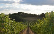 Photo submitted by guest of Podere Il Doccio