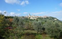 Photo submitted by guest of Podere degli Olivi