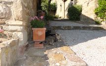 Photo submitted by guest of Borgo del Castagno