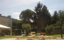 Photo submitted by guest of Flavia