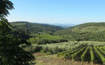 Photo submitted by guest of Agriturismo Concadoro