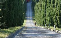 Photo submitted by guest of Le Gallozzole