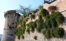 Photo submitted by guest of Villa Carolina