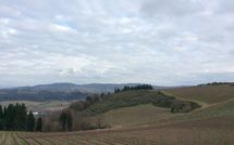 Photo submitted by guest of Mercatale