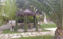 Photo submitted by guest of Villa Carolina