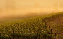 Photo submitted by guest of Casa Simona