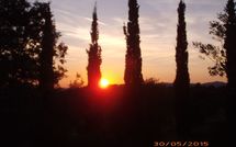 Photo submitted by guest of Podere Orietta