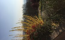 Photo submitted by guest of Casa Sabrina