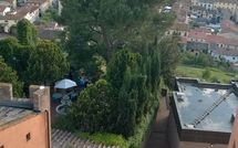 Photo submitted by guest of Certaldo