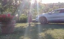 Photo submitted by guest of Country House Il Galleto