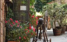 Photo submitted by guest of Nel Guasto