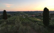 Photo submitted by guest of Villa Roberto