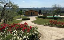 Photo submitted by guest of Villa Roberto