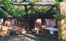 Photo submitted by guest of La Regolina