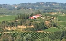 Photo submitted by guest of Casa Cipressi