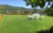 Photo submitted by guest of Palazzo Rosadi