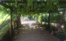 Photo submitted by guest of Palazzo Rosadi