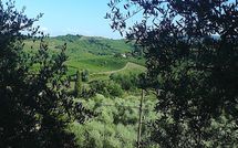 Photo submitted by guest of Villa la Vedetta