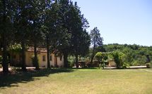 Photo submitted by guest of Trecento