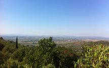 Photo submitted by guest of Borgo del Castagno