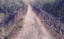 Photo submitted by guest of Villa Eden