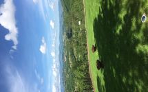 Photo submitted by guest of Palazzo Rosadi